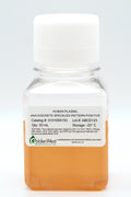 Human Plasma, ANA Discrete Speckled Pattern Positive
