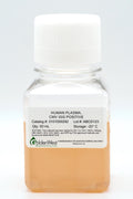 Human Plasma, CMV IgG Positive