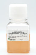 Human Plasma, Measles IgG Negative