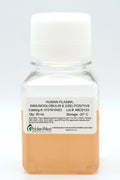 Human Plasma Immunoglobulin E (IgE) Positive