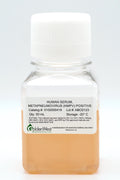 Human Serum, Metapneumovirus (hMPV) Positive