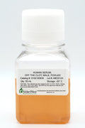 Human Serum, Off the Clot, Male, Pooled
