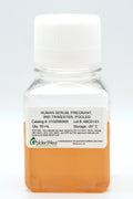 Human Serum, Pregnant, 3rd Trimester, Pooled