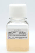 Human Serum, 4X Charcoal Stripped