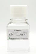 Human Saliva