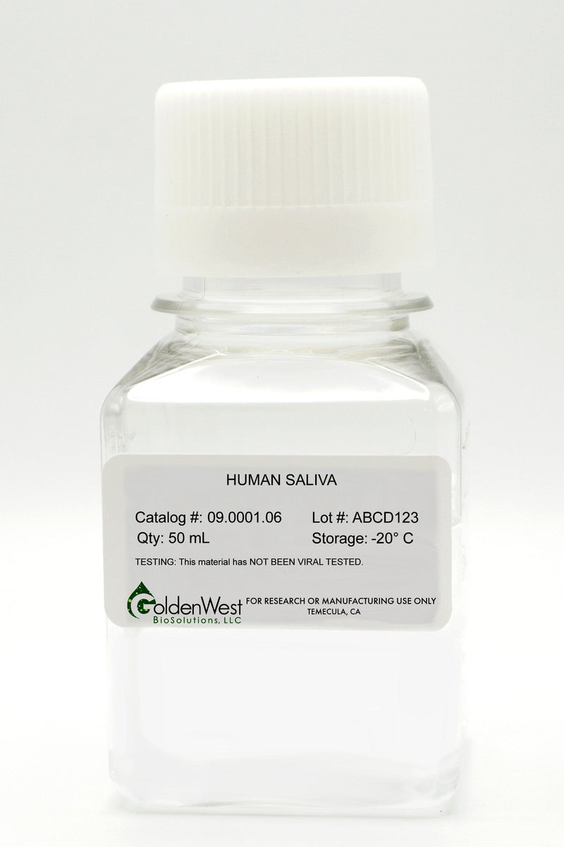 Human Saliva